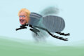 The Boris Johnson Fly
