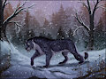 Winter Prowler by Cheetahs