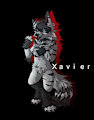 Xavier by Softfeather