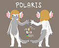 polaris by moordred