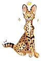 Happy serval