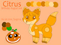 Citrus the Fox Ref