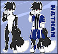 Nathan New Ref