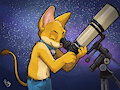 Stargazing by Paco Panda by dahan