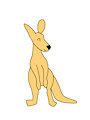 Kangaroo