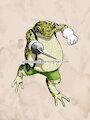 Were Western Green Toad Remake