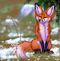 Sitting Fox by SleepyChi
