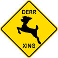 DERR XING