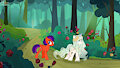 Jade's walk in the forest!