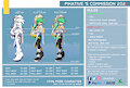 Commission Sheet information 20²² by PIKATIVE