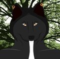 Kale ShadowWalker - The Werewolf  by KaleShadowWalker