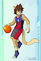 Hiro Sports! Basketball