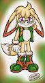 Custom OC- Net The Fennec Fox by MelSky