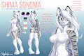 Shima Refsheet by ThomasGerna