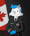 Arctic the Canadian General by lucyhaupdarsteller