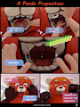 A Panda Proposition Pg 3