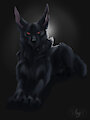 Black dog by Amyrasc