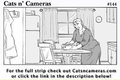 Cats n Cameras Strip 144 - The Old Country