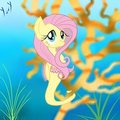 Floating Flutter by Yury