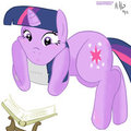 Twilight Reading a book?