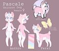 Pascale Reference Sheet 2022 by Sn0wy18