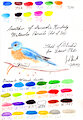 Watercolor Pencil Swatches