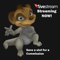 Meerkat's Stream Session is Up by ForeRest
