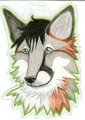 Another Oklacon badge  by BishopJFox