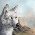 A Painting of Howl by LostWolfSpirit
