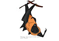 murcielago cabeza de zorro / fox headed bat