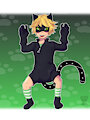 KittyNoir (miraculous)