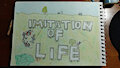 Imitation of Life (tribute) by Sharkiesabortionclinic