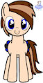 Front view Seb the Pony