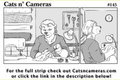Cats n Cameras Strip 145 - Always a binder