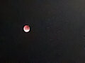 The Blood Moon as captured by my phone's camera
