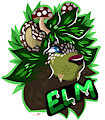 Elm