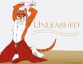 Unleashed Cover by HolidayPup