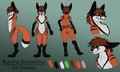 Kaiya Ref Sheet 2012