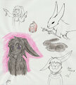 Bunny sketch dump <3 by nettlebuns