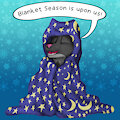 Blanket season is upon us
