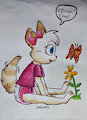 kitty loves butterflies by ConejoBlanco