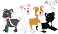 Pitbull Awareness Month (Late)