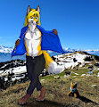 Fox in the Mountains <3