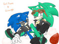 Evil Sonic & Scourge
