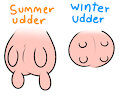 Summer Udder Vs Winter Udder
