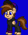 New update of Seb the Pony on Pony Town