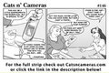 Cats n Cameras Strip 146 - Innapropriate Maybe