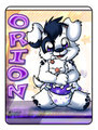 Orion Tag 