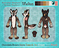 Ref Sheet by Melius