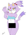 blaze the cat